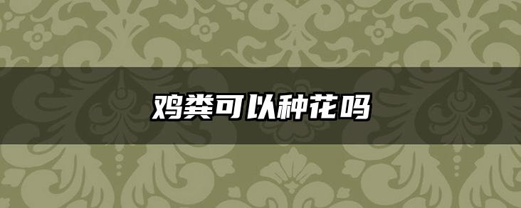 鸡粪可以种花吗