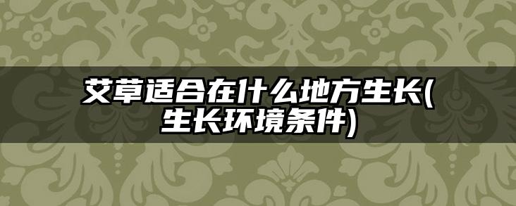 艾草适合在什么地方生长(生长环境条件)