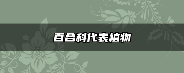 百合科代表植物