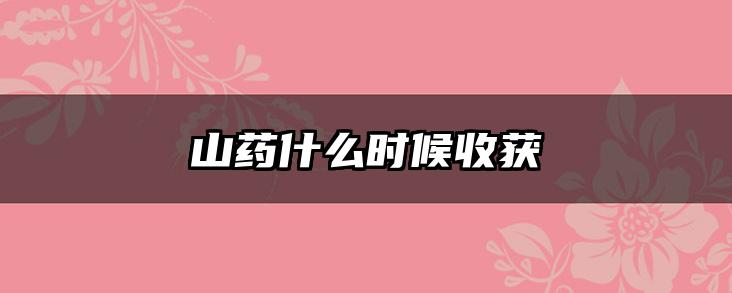 山药什么时候收获