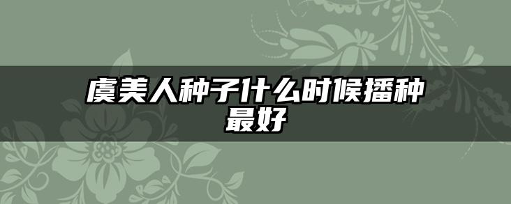 虞美人种子什么时候播种最好