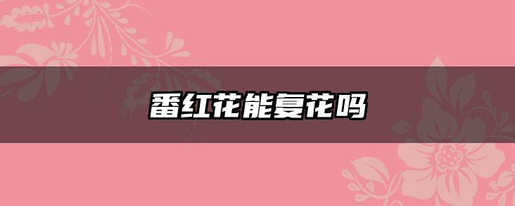 番红花能复花吗