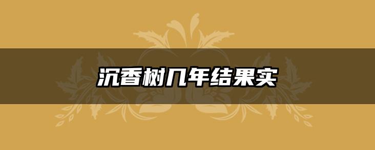 沉香树几年结果实