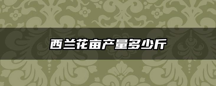 西兰花亩产量多少斤