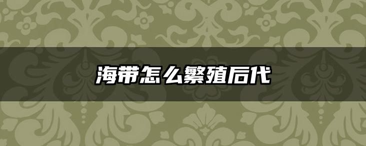 海带怎么繁殖后代
