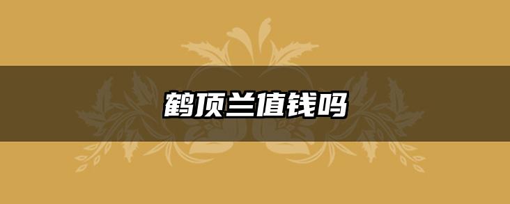 鹤顶兰值钱吗
