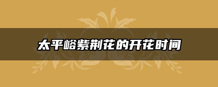 太平峪紫荆花的开花时间