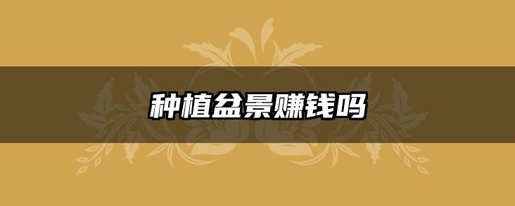 种植盆景赚钱吗