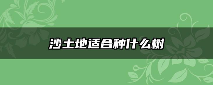 沙土地适合种什么树