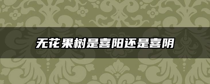 无花果树是喜阳还是喜阴