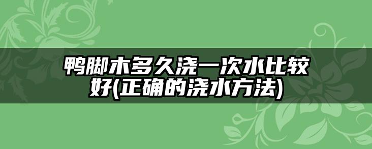 鸭脚木多久浇一次水比较好(正确的浇水方法)