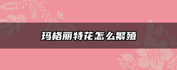 玛格丽特花怎么繁殖