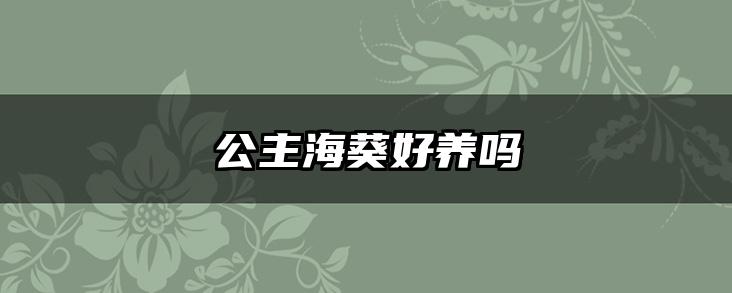 公主海葵好养吗