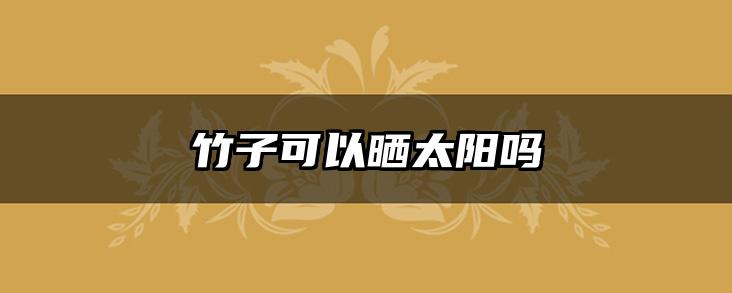 竹子可以晒太阳吗