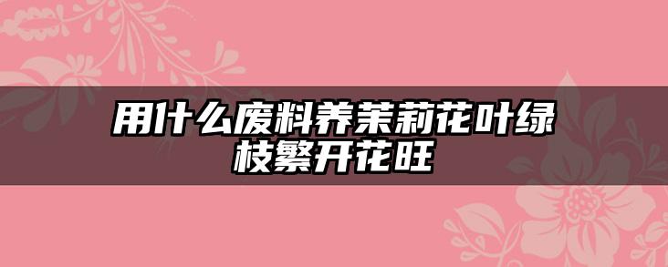 用什么废料养茉莉花叶绿枝繁开花旺