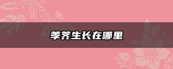 荸荠生长在哪里
