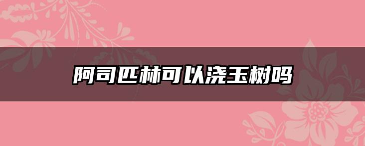 阿司匹林可以浇玉树吗