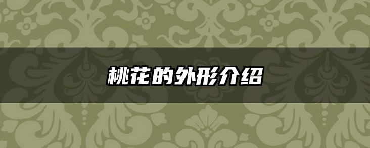桃花的外形介绍