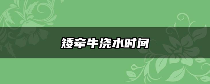 矮牵牛浇水时间