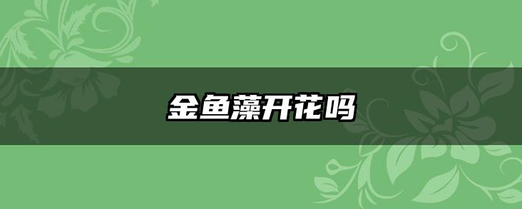 金鱼藻开花吗