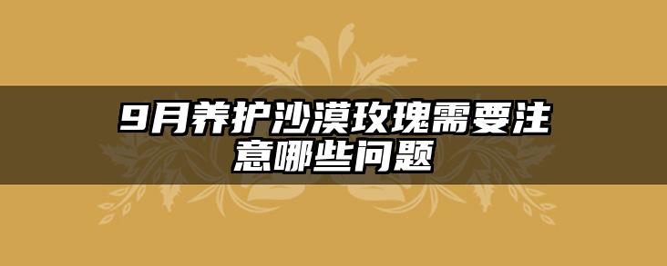 9月养护沙漠玫瑰需要注意哪些问题