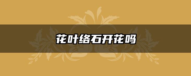 花叶络石开花吗