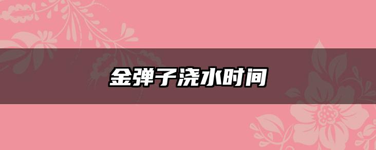 金弹子浇水时间