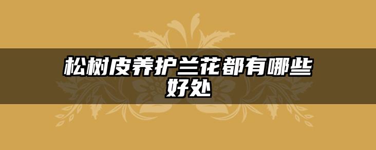 松树皮养护兰花都有哪些好处