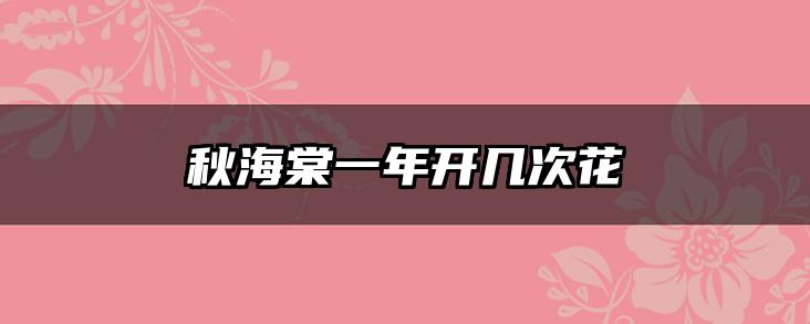 秋海棠一年开几次花
