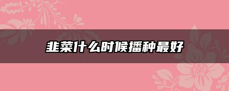 韭菜什么时候播种最好