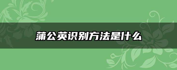 蒲公英识别方法是什么