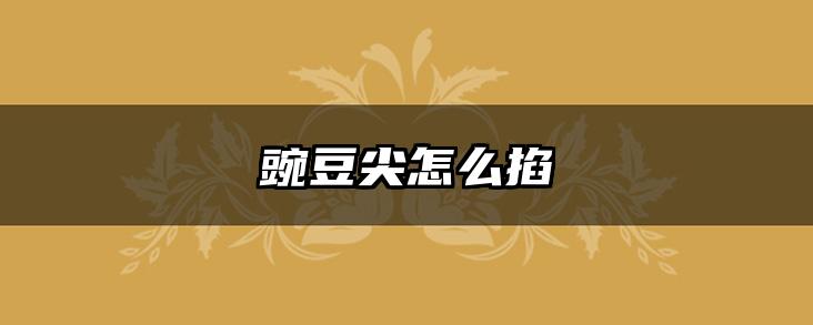 豌豆尖怎么掐