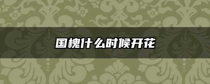 国槐什么时候开花