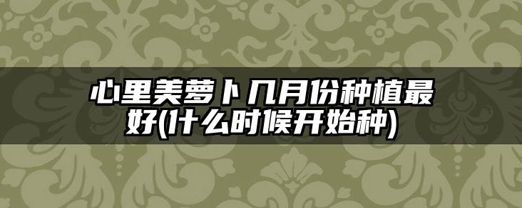 心里美萝卜几月份种植最好(什么时候开始种)