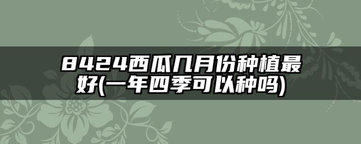 8424西瓜几月份种植最好(一年四季可以种吗)