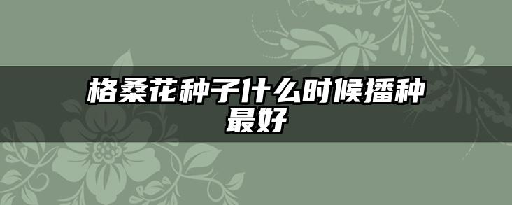 格桑花种子什么时候播种最好