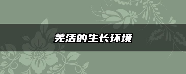 羌活的生长环境