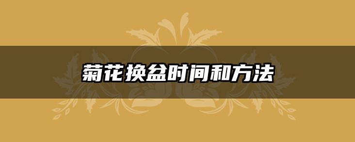 菊花换盆时间和方法