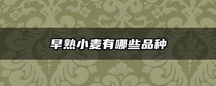 早熟小麦有哪些品种