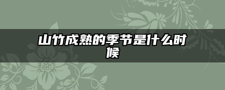 山竹成熟的季节是什么时候