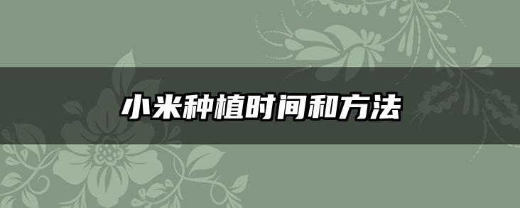 小米种植时间和方法