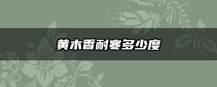 黄木香耐寒多少度