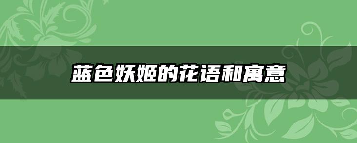 蓝色妖姬的花语和寓意