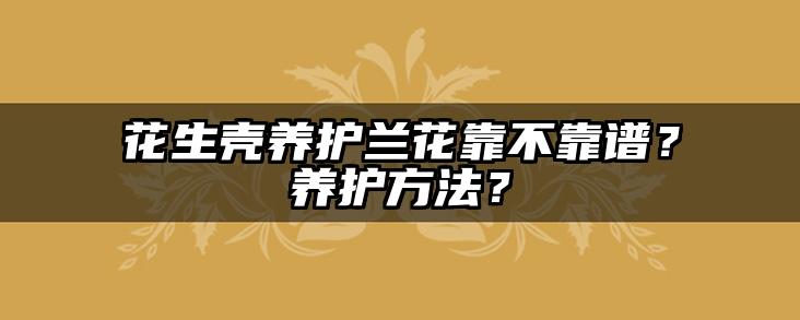 花生壳养护兰花靠不靠谱?养护方法?
