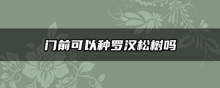 门前可以种罗汉松树吗