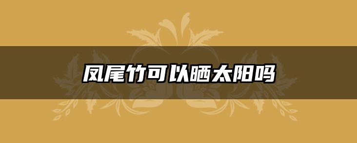 凤尾竹可以晒太阳吗
