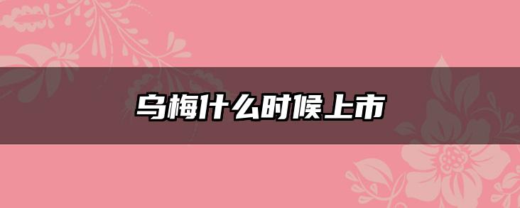 乌梅什么时候上市