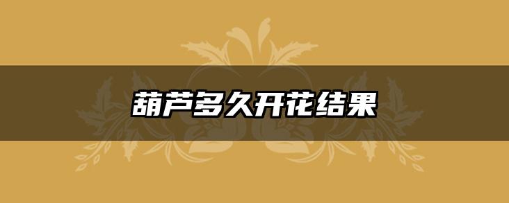 葫芦多久开花结果