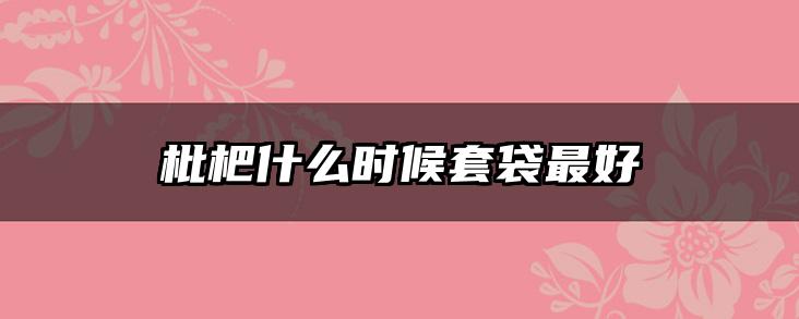 枇杷什么时候套袋最好