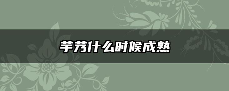 芋艿什么时候成熟